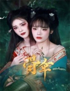 奥林巴斯支持小组