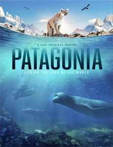 生化危机：血仇杀戮