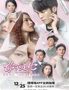 胡银花河南坠子刘公传奇9