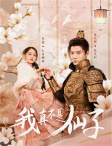 我和她的传奇情仇