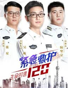 谍影迷情 第四季