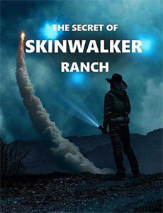 梅格雷的十字路口之夜